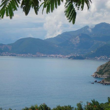 Boutique Home Saltaragazza Petrovac ภายนอก รูปภาพ