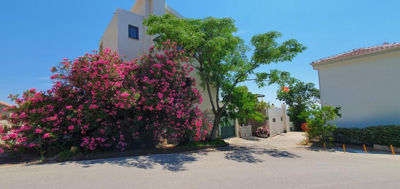 Boutique Home Saltaragazza Petrovac ภายนอก รูปภาพ