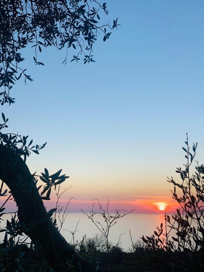 Boutique Home Saltaragazza Petrovac ภายนอก รูปภาพ