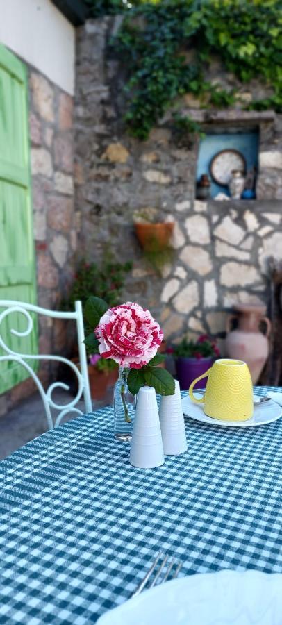 Boutique Home Saltaragazza Petrovac ภายนอก รูปภาพ
