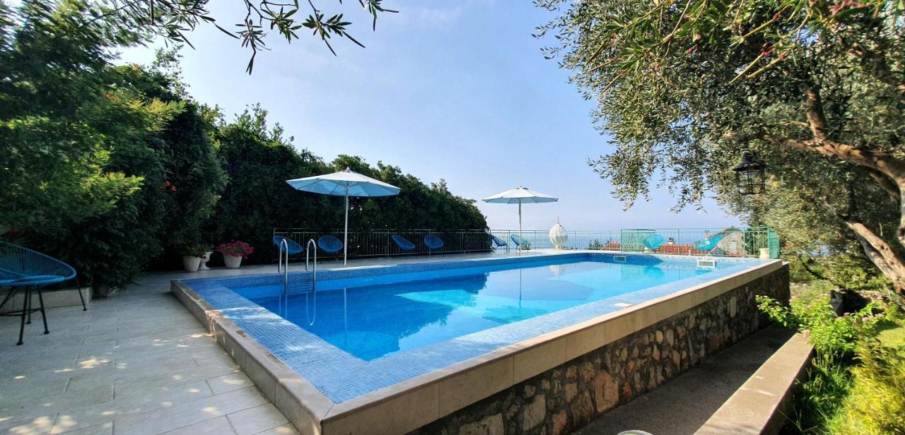 Boutique Home Saltaragazza Petrovac ภายนอก รูปภาพ