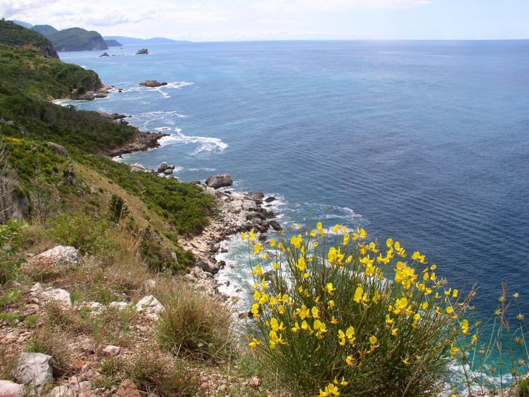 Boutique Home Saltaragazza Petrovac ภายนอก รูปภาพ