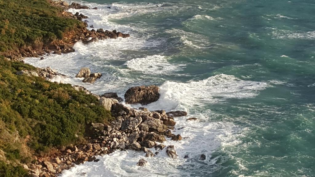 Boutique Home Saltaragazza Petrovac ภายนอก รูปภาพ