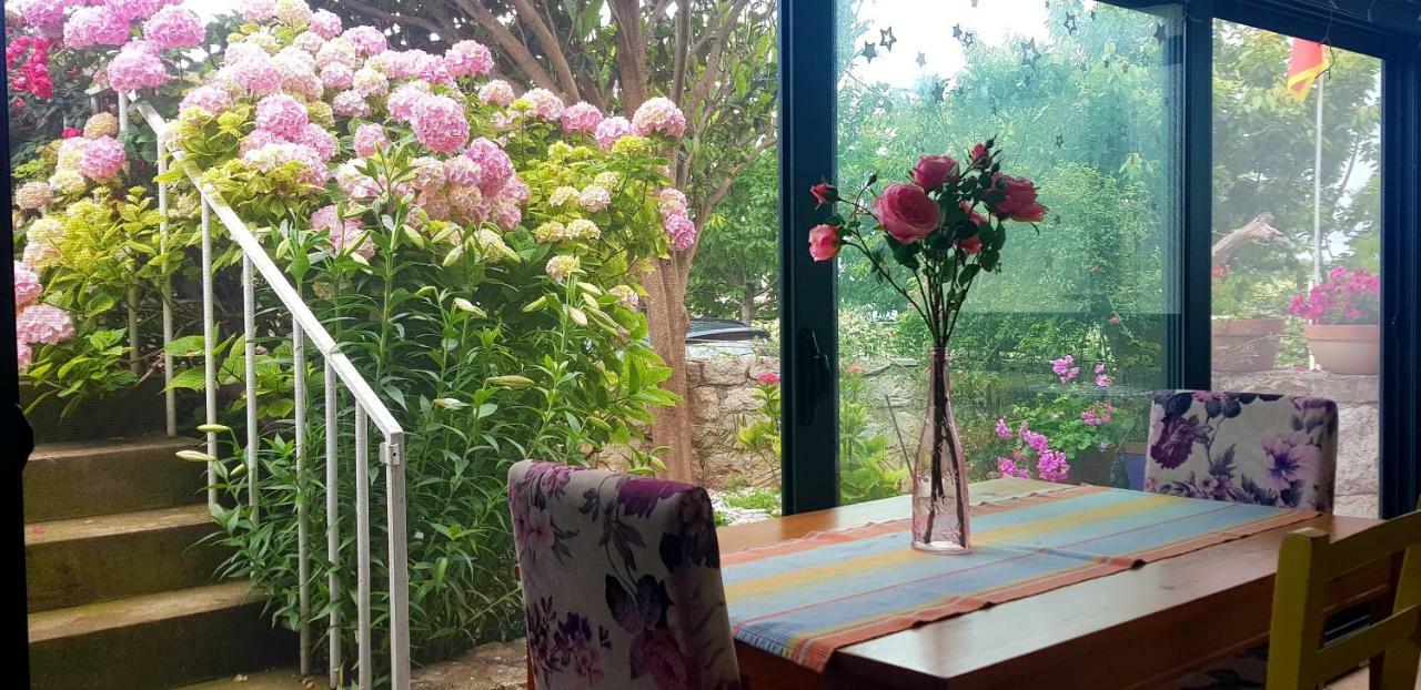 Boutique Home Saltaragazza Petrovac ภายนอก รูปภาพ