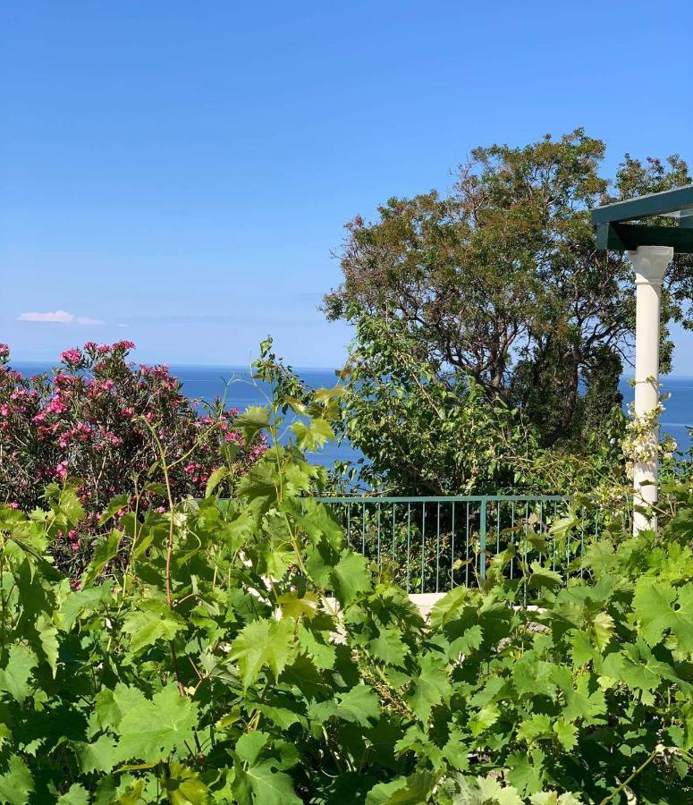 Boutique Home Saltaragazza Petrovac ภายนอก รูปภาพ